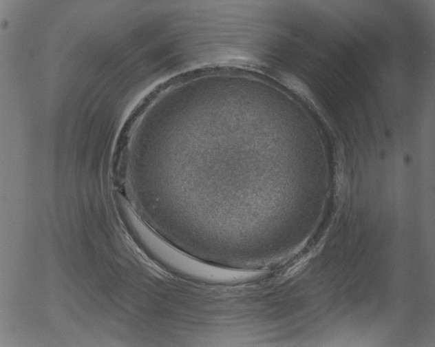 X0000056330924200508291248