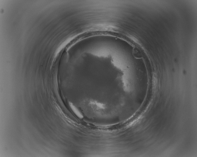 X0000056330925200508291248