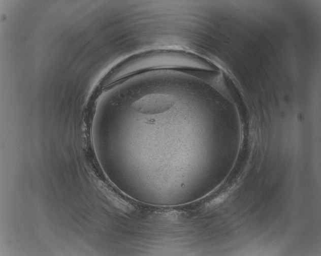 X0000056330926200508291248