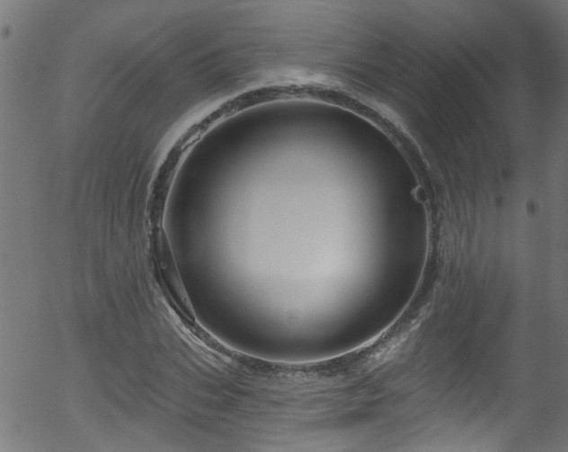 X0000056330927200508291248