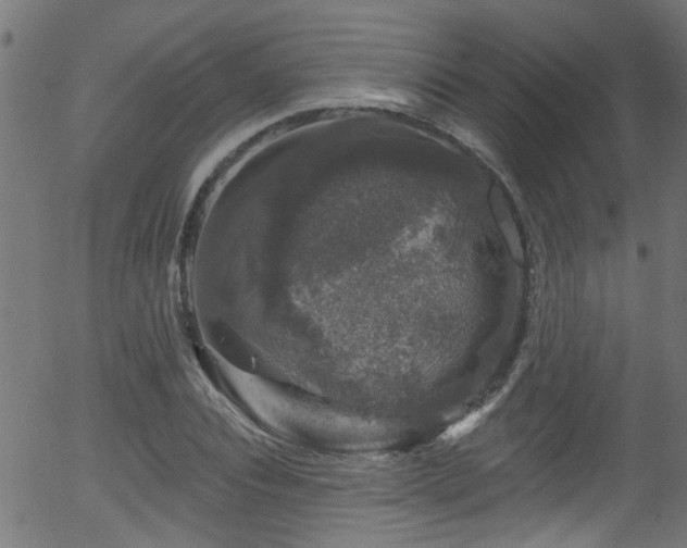 X0000056330928200508291248