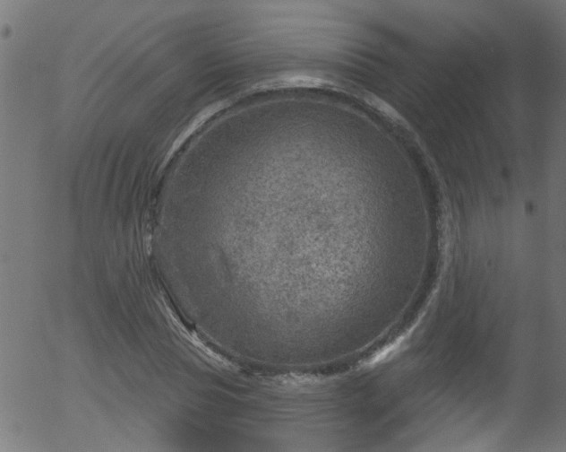 X0000056330929200508291248