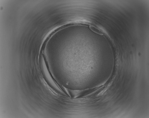 X0000056330932200508291248