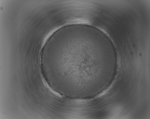 X0000056330933200508291248