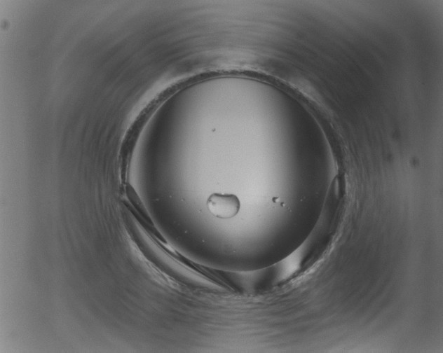 X0000056330934200508291248