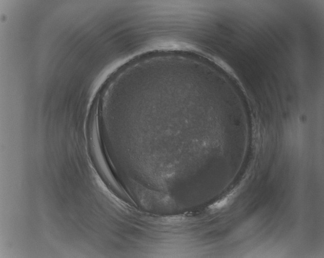 X0000056330935200508291248