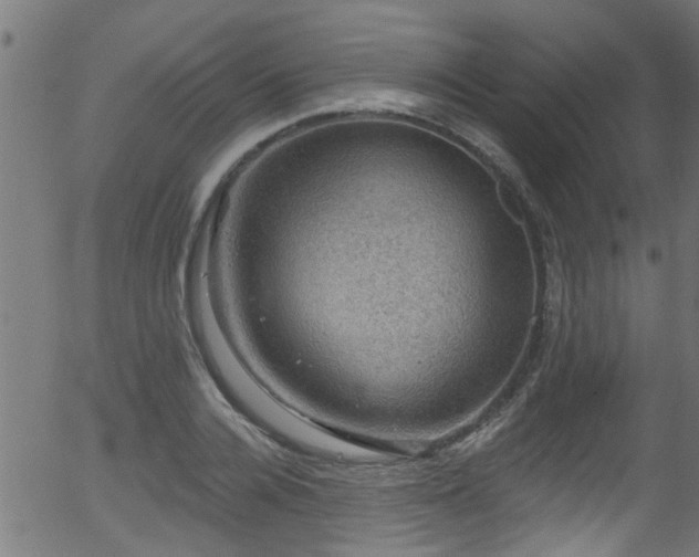 X0000056330936200508291248