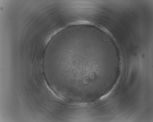 X0000056330937200508291248