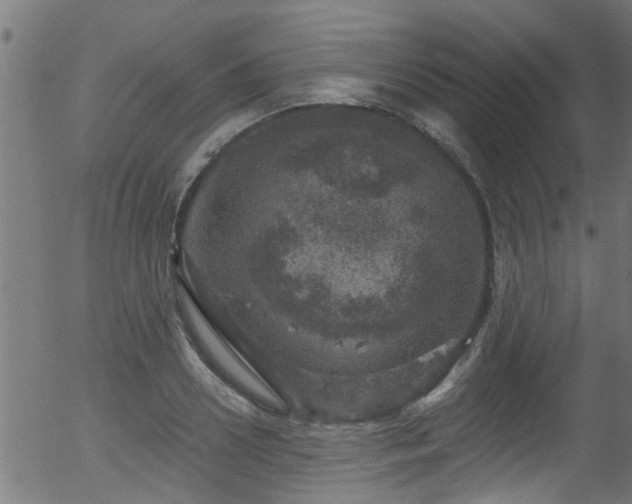 X0000056330938200508291248