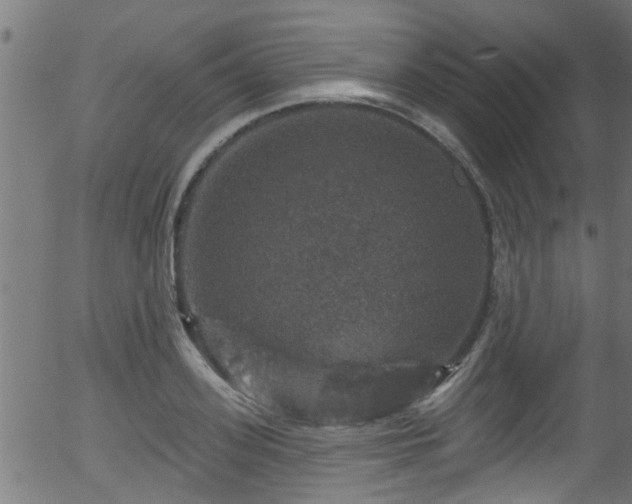 X0000056330939200508291248