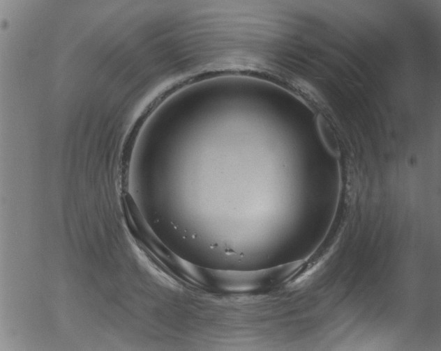 X0000056330942200508291248