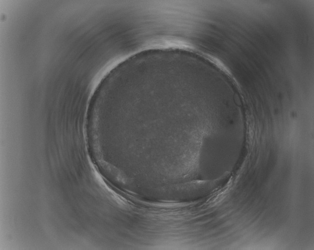 X0000056330943200508291248