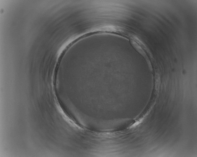 X0000056330944200508291248