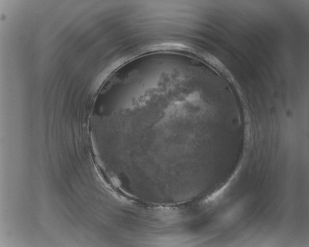 X0000056330945200508291248