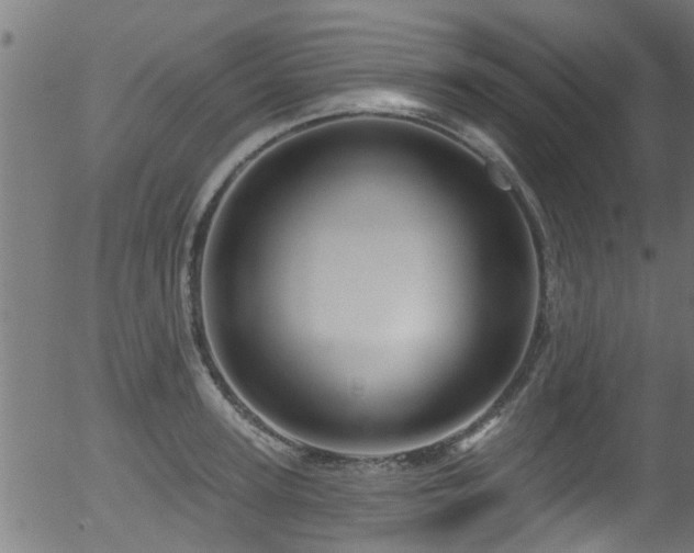 X0000056330947200508291248