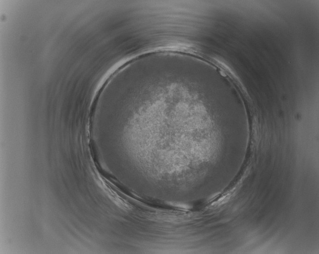 X0000056330948200508291248