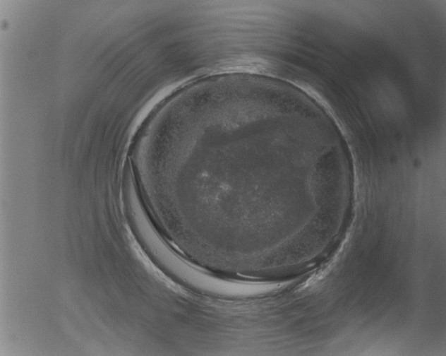 X0000056330949200508291248