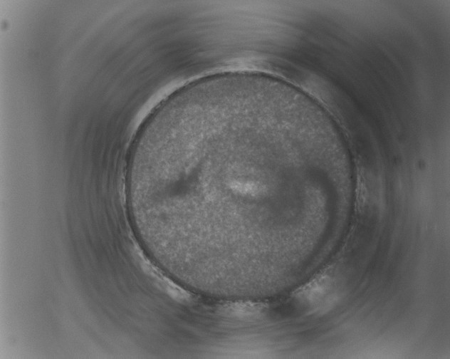 X0000056330950200508291248