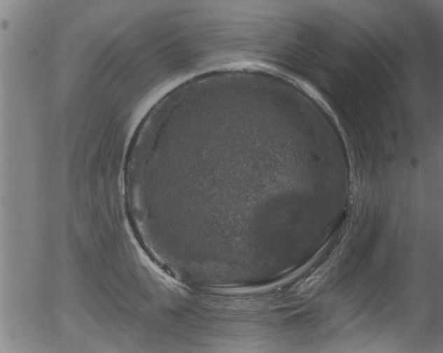 X0000056330951200508291248