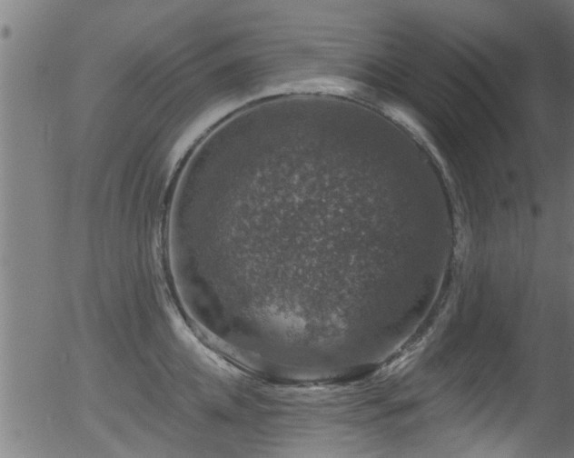 X0000056330952200508291248