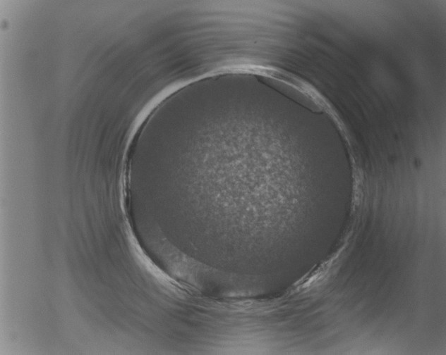 X0000056330955200508291249