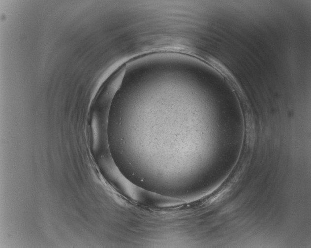 X0000056330956200508291249