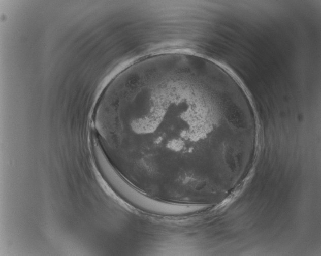 X0000056330957200508291249