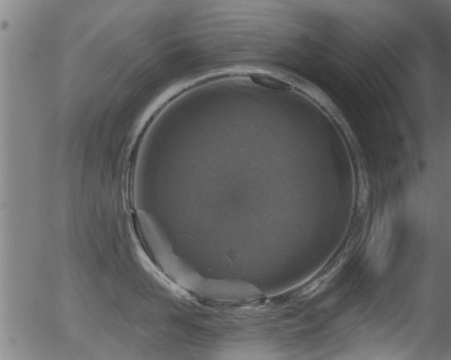 X0000056330958200508291249