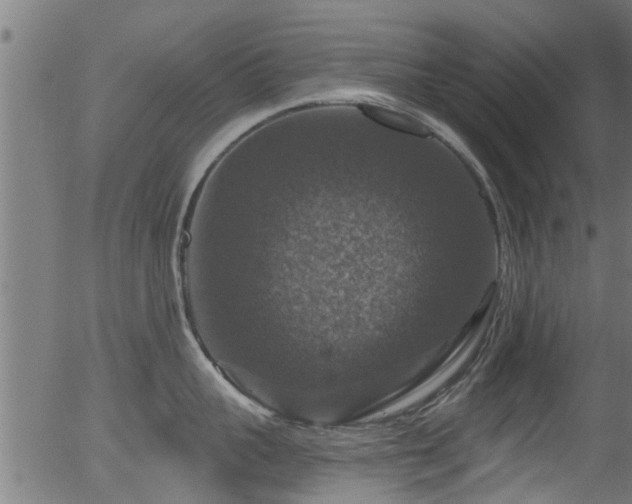 X0000056330959200508291249