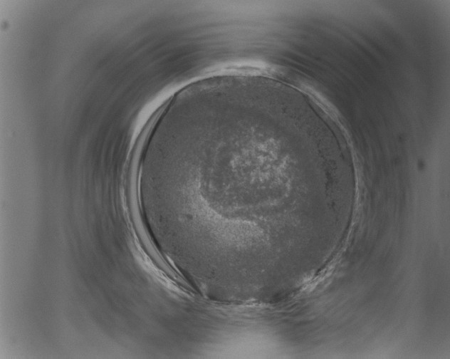 X0000056330960200508291249