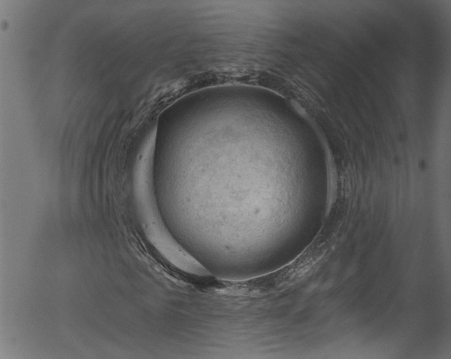 X0000056330961200508291248