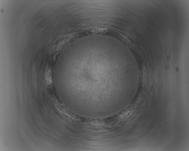 X0000056330962200508291248