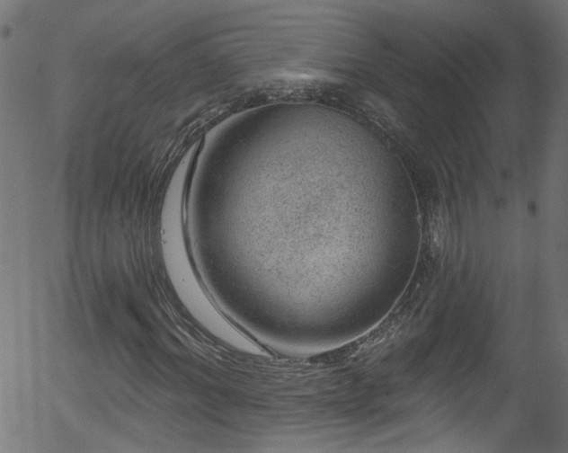 X0000056330964200508291248