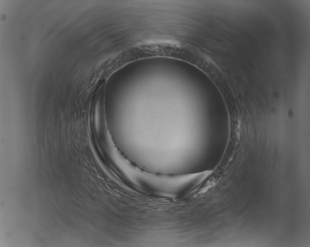 X0000056330965200508291248