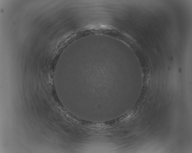 X0000056330966200508291248