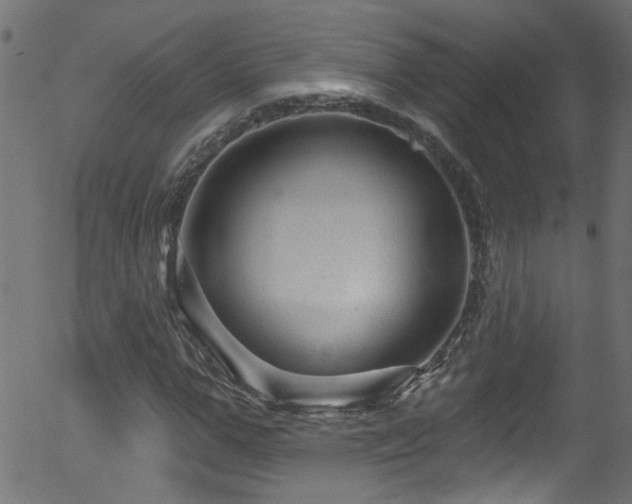 X0000056330967200508291248