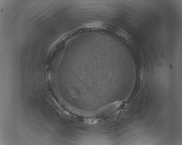 X0000056330968200508291248