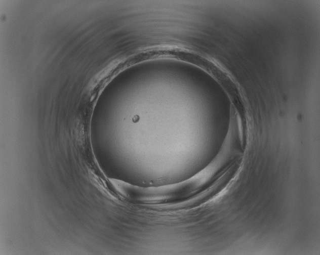 X0000056330969200508291248