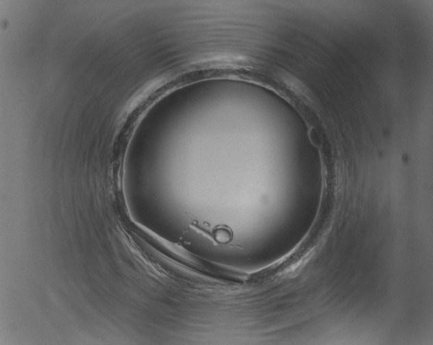 X0000056330970200508291248