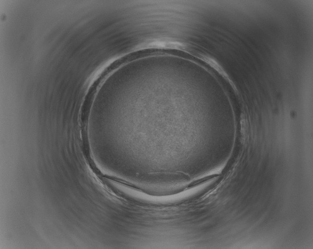 X0000056330972200508291248