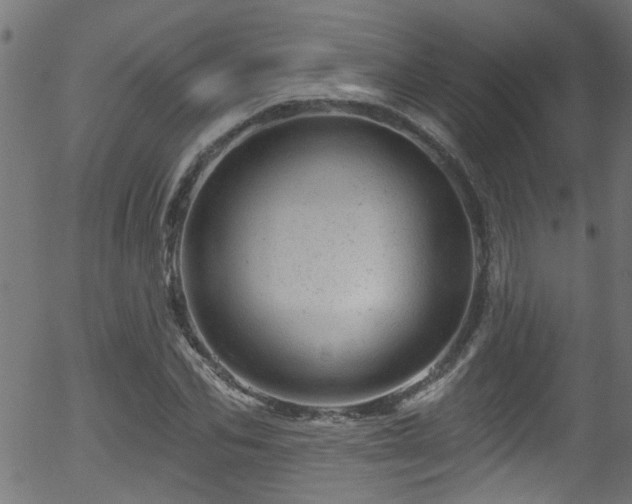 X0000056330974200508291248