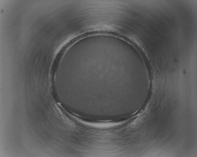 X0000056330975200508291248