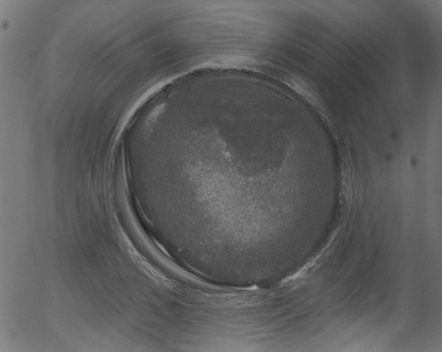 X0000056330976200508291248