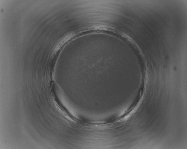 X0000056330977200508291248