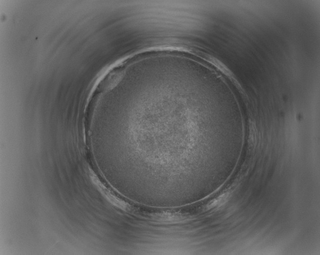 X0000056330980200508291248