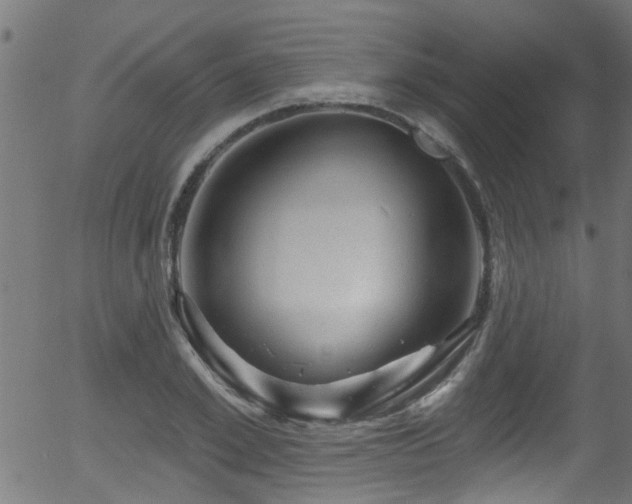 X0000056330981200508291247