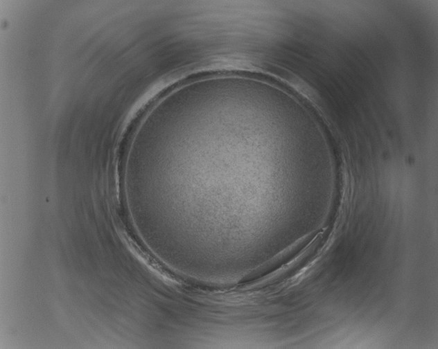 X0000056330982200508291247