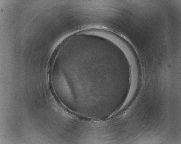 X0000056330983200508291247