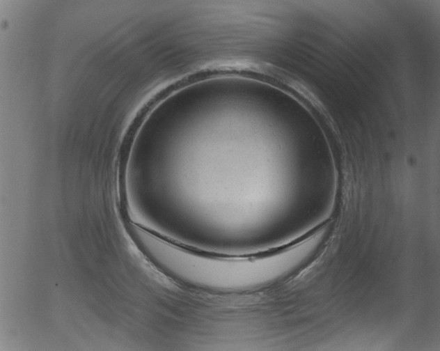 X0000056330984200508291247