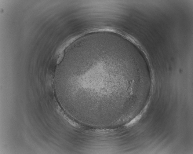 X0000056330985200508291247